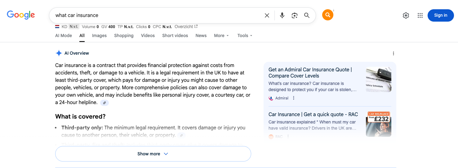 AI Overview voorbeeld